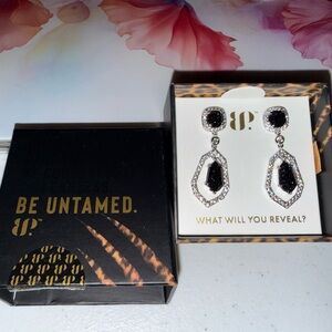 Untamed Black and Silver Drop Earrings